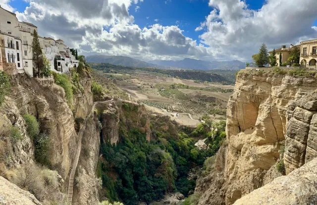 Панарама