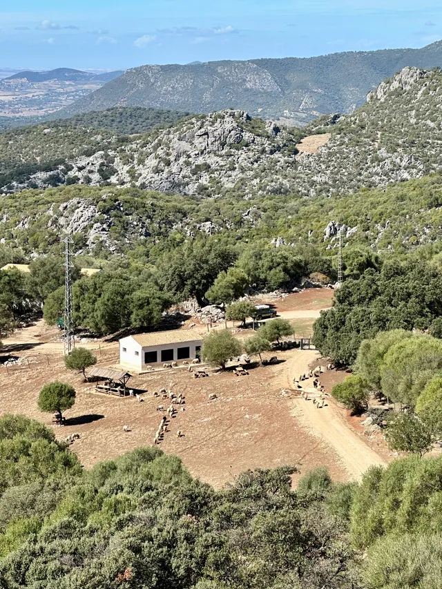 Mirador El Cintillo y Aguas Nuevas