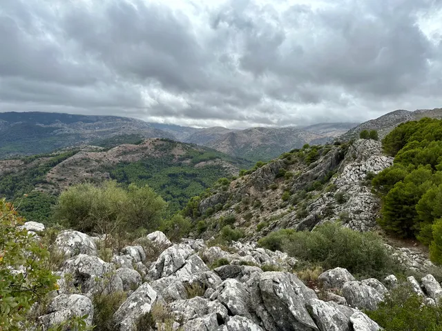 Mirador del Guarda Forestal Mirador del Guarda Forestal