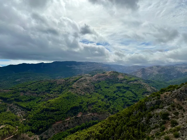 Mirador del Guarda Forestal Mirador del Guarda Forestal