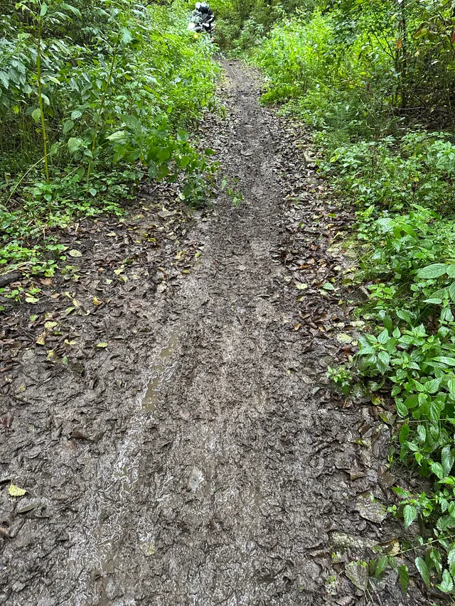 Было вельмі слізка Было вельмі слізка