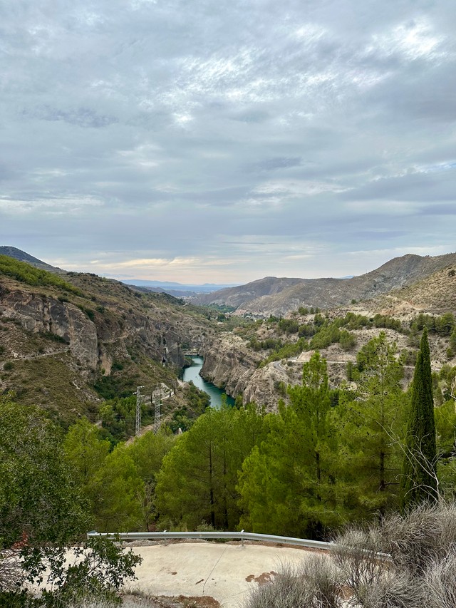 Краявіды Краявіды
