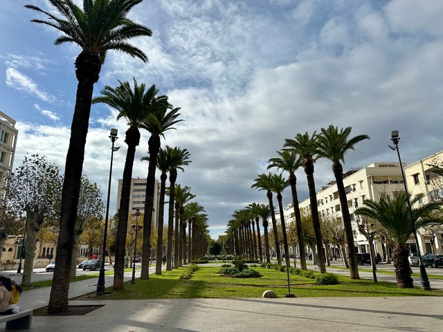 Алея караля Хасана II, Фэз