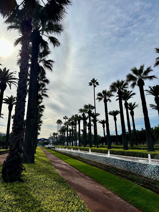 Парк лігі арабскіх народаў, Касабланка