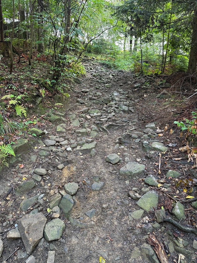 З'езд быў вельмі круты, шмат камянёў і вузкіх участкаў