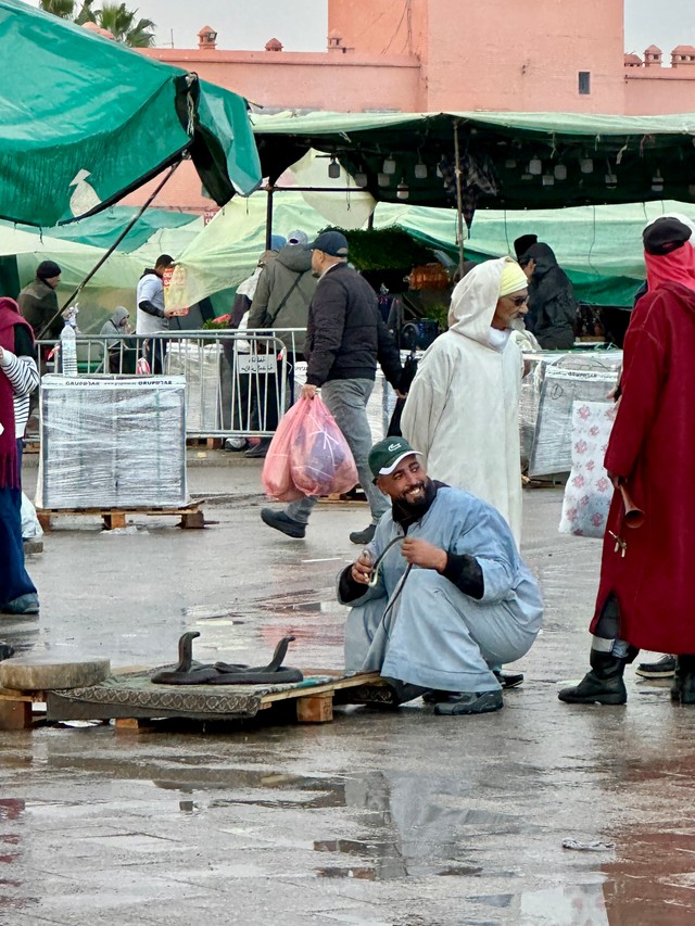 Заклінальнік кобраў, плошча Джэмаа эль-Фна