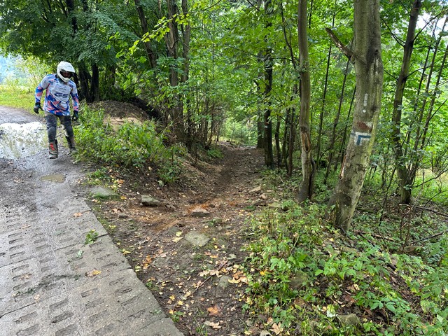 Здзіўлены Томаш