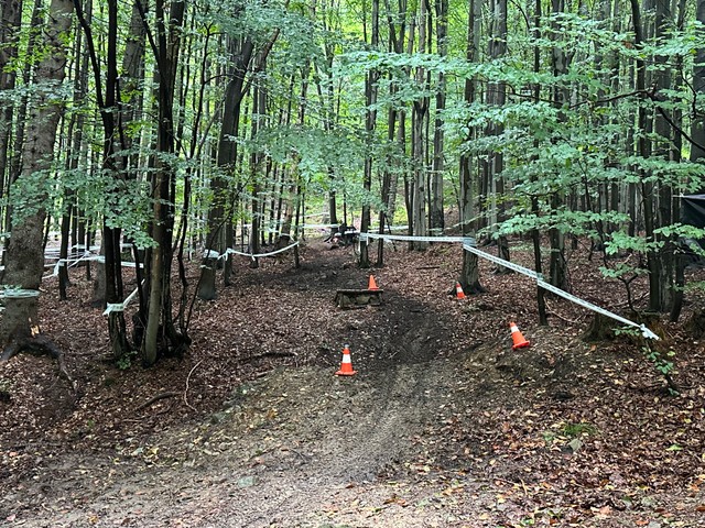 Другі чэлендж - лес на схіле